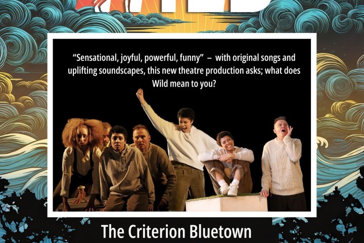 Theatre poster for 'Wild' with colorful background, cast photo, and show details for Criterion Bluetown, Nov 22, 2025.